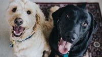 Jay Wennington 364037 Unsplash 200x300