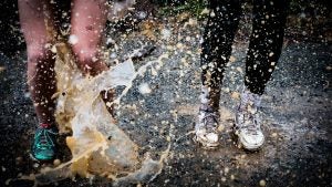 Josh Calabrese 146257 Unsplash 300x200