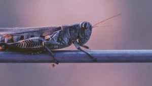 Joshua Hoehne 666188 Unsplash 300x234