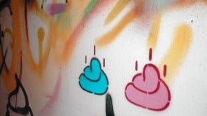 Shit Inc On Wall 300x225