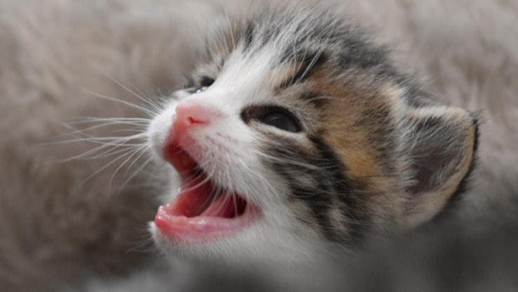 U5bj2duxkzskhbjbuvnyj7pbzw2jzmambqhv3anxrrdwaybqkkqldyggomusnbh Bxmwi Tfkj Bllt3leql3y5vpjhyywkieg90gawxqqsl9ua6lq8piy8 Uptd6iexwijnwns6l7tjjzgf3g