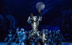 These Shows Are Broadway's Blockbusters — and Fantastic Flops